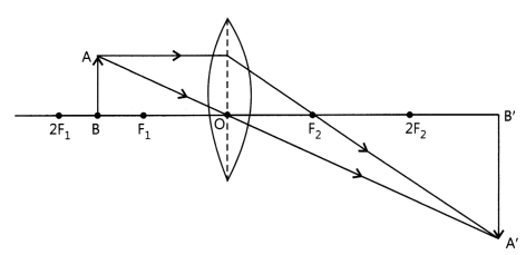 CBSE Sample Papers for Class 10 Science Set 6 with Solutions 16