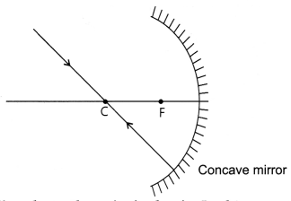 CBSE Sample Papers for Class 10 Science Set 6 with Solutions 17