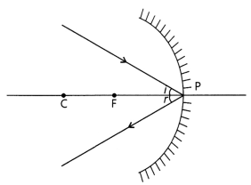 CBSE Sample Papers for Class 10 Science Set 6 with Solutions 18