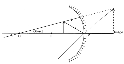 CBSE Sample Papers for Class 10 Science Set 6 with Solutions 19