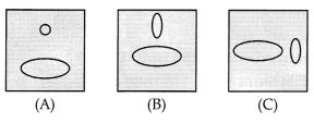 CBSE Sample Papers for Class 10 Science Set 6 with Solutions 5