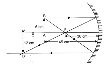 CBSE Sample Papers for Class 10 Science Set 7 with Solutions 15