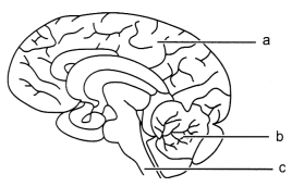 CBSE Sample Papers for Class 10 Science Set 7 with Solutions 8