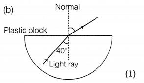 CBSE Sample Papers for Class 10 Science Set 9 with Solutions Q31.1