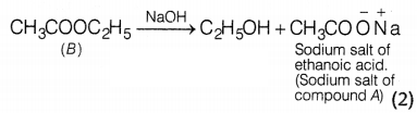 CBSE Sample Papers for Class 10 Science Set 9 with Solutions Q37.1