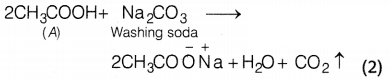 CBSE Sample Papers for Class 10 Science Set 9 with Solutions Q37