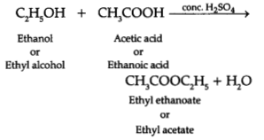 CBSE Sample Papers for Class 10 Science Set 2 with Solutions 15