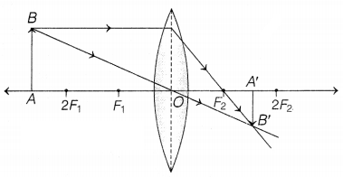 CBSE Sample Papers for Class 10 Science Set 3 with Solutions Q31.1