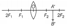 CBSE Sample Papers for Class 10 Science Set 3 with Solutions Q31