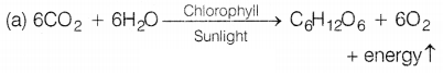 CBSE Sample Papers for Class 10 Science Set 3 with Solutions Q35