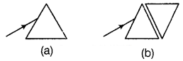 CBSE Sample Papers for Class 10 Science Set 2 with Solutions Q25