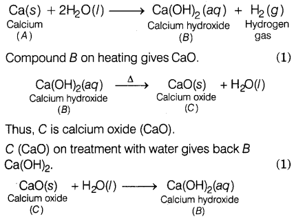 CBSE Sample Papers for Class 10 Science Set 2 with Solutions Q27.1