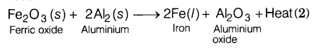 CBSE Sample Papers for Class 10 Science Set 2 with Solutions Q37.1