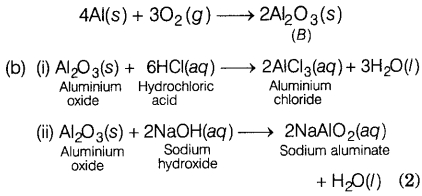 CBSE Sample Papers for Class 10 Science Set 2 with Solutions Q37