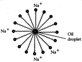 CBSE Sample Papers for Class 10 Science Set 3 with Solutions 13