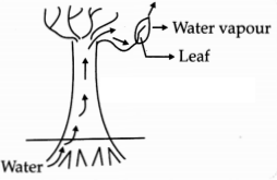 CBSE Sample Papers for Class 10 Science Set 3 with Solutions 2