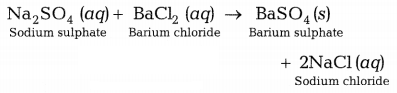 CBSE Sample Papers for Class 10 Science Set 1 with Solutions Q1.1