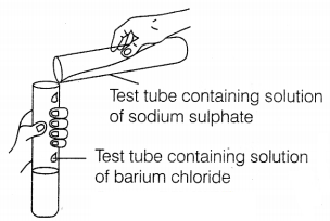 CBSE Sample Papers for Class 10 Science Set 1 with Solutions Q1