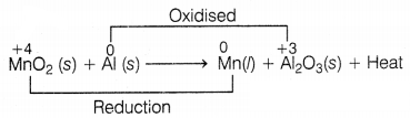 CBSE Sample Papers for Class 10 Science Set 1 with Solutions Q27