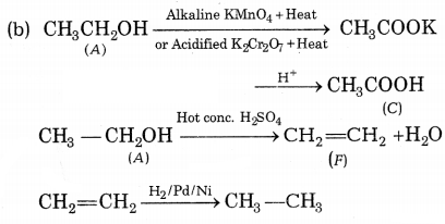 CBSE Sample Papers for Class 10 Science Set 1 with Solutions Q37