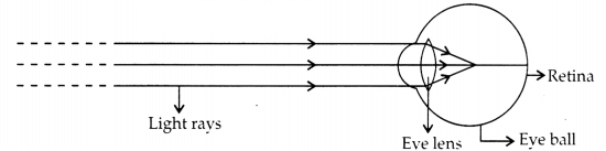 CBSE Sample Papers for Class 10 Science Set 4 with Solutions 3