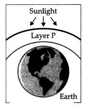 CBSE Sample Papers for Class 10 Science Set 4 with Solutions 5