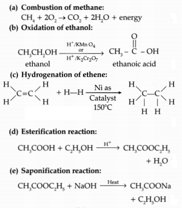 CBSE Sample Papers for Class 10 Science Set 5 with Solutions 11