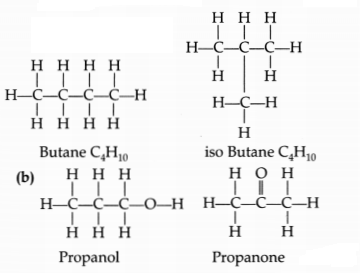 CBSE Sample Papers for Class 10 Science Set 5 with Solutions 12