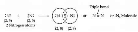 CBSE Sample Papers for Class 10 Science Set 5 with Solutions 13