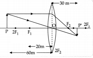 CBSE Sample Papers for Class 10 Science Set 5 with Solutions 14