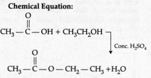 CBSE Sample Papers for Class 10 Science Set 5 with Solutions 4