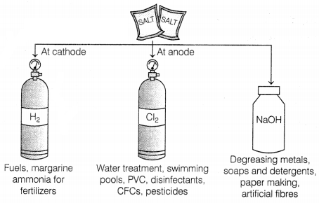 CBSE Sample Papers for Class 10 Science Set 8 with Solutions Q1