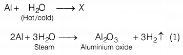 CBSE Sample Papers for Class 10 Science Set 8 with Solutions Q21