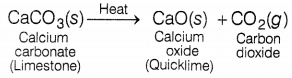 CBSE Sample Papers for Class 10 Science Set 8 with Solutions Q27.1