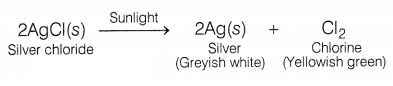 CBSE Sample Papers for Class 10 Science Set 8 with Solutions Q27.2