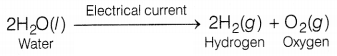 CBSE Sample Papers for Class 10 Science Set 8 with Solutions Q27.3