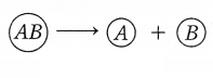 CBSE Sample Papers for Class 10 Science Set 8 with Solutions Q27