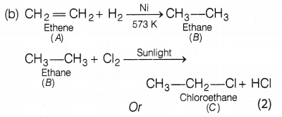 CBSE Sample Papers for Class 10 Science Set 8 with Solutions Q37