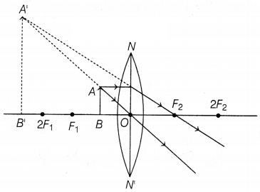 CBSE Sample Papers for Class 10 Science Set 8 with Solutions Q39.1