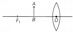 CBSE Sample Papers for Class 10 Science Set 8 with Solutions Q39