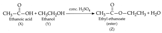 CBSE Sample Papers for Class 10 Science Set 1 with Solutions 17