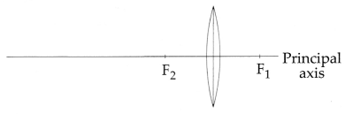 CBSE Sample Papers for Class 10 Science Set 1 with Solutions 19