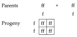 CBSE Sample Papers for Class 10 Science Set 1 with Solutions 25