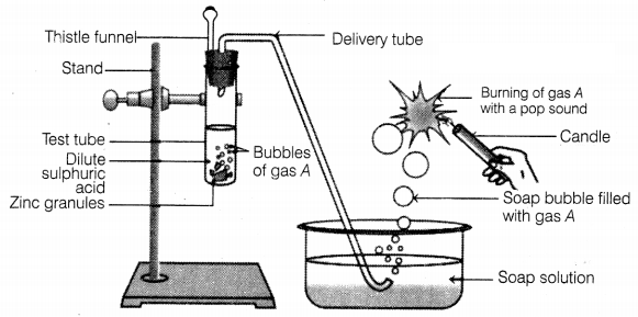 CBSE Sample Papers for Class 10 Science Set 7 with Solutions Q1