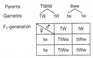 CBSE Sample Papers for Class 10 Science Set 7 with Solutions Q15