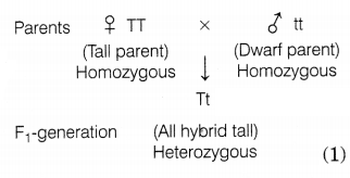 CBSE Sample Papers for Class 10 Science Set 7 with Solutions Q33