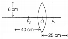 CBSE Sample Papers for Class 10 Science Set 7 with Solutions Q39