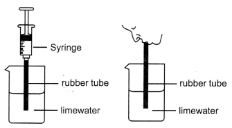 CBSE Sample Papers for Class 10 Science Set 2 with Solutions 18