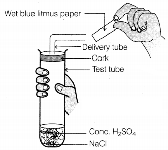 CBSE Sample Papers for Class 10 Science Set 6 with Solutions Q1