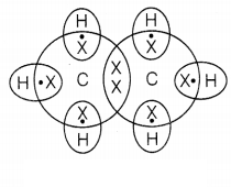 CBSE Sample Papers for Class 10 Science Set 6 with Solutions Q37.1